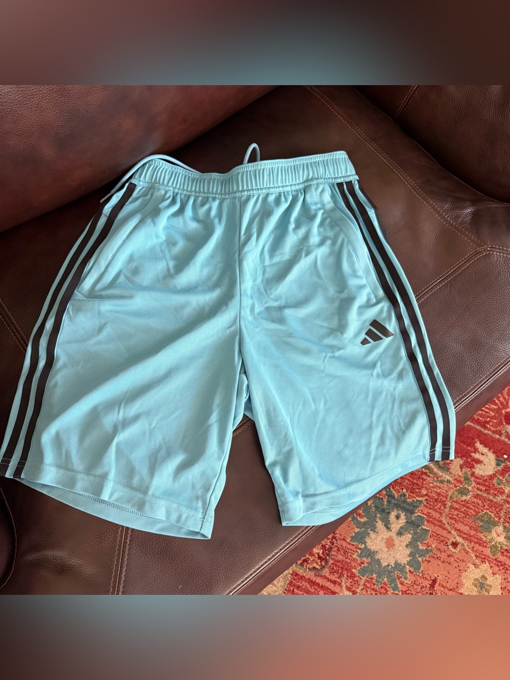 Men’s Adidas Light Blue Shorts; Size Small (Like New)